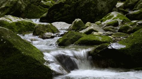 河水潺潺地流动